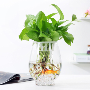 简约现代玻璃花瓶透明水培水养鲜花绿植插花瓶客厅桌面摆件鱼缸