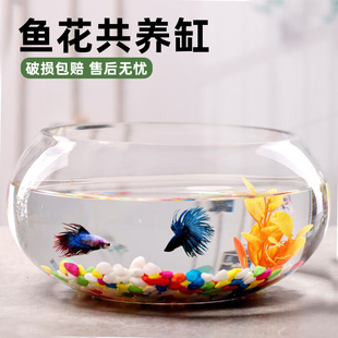 简约大号透明玻璃花盆水养碗莲水仙鱼缸桌面家用客厅办公室摆件
