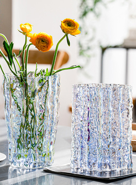 北欧ins风高级感玻璃花瓶透明水培鲜花百合插花瓶餐桌客厅摆件