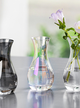 创意简约禅意玻璃花瓶小号水培绿植鲜花桌面客厅插花瓶装饰摆件