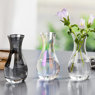 创意简约禅意玻璃花瓶小号水培绿植鲜花桌面客厅插花瓶装 饰摆件