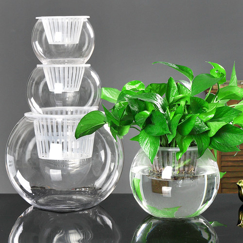 水培植物透明玻璃圆球鱼缸花瓶