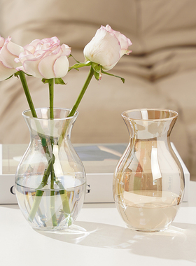 简约北欧风玻璃花瓶网红小号水养绿植鲜花插花瓶桌面装饰摆件