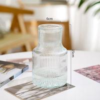Nordic creative transparent glass vase, hydroponic pothos plant dried flower vase, fresh flower vase, living room decoration item thumbnail 3