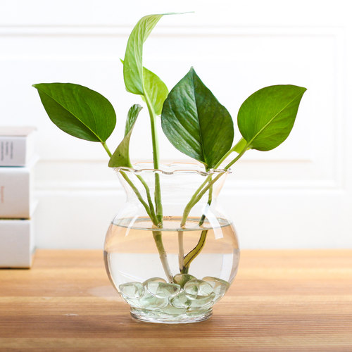绿萝简约风水养鱼缸插花瓶器皿