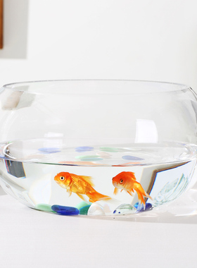 玻璃花盆 碗莲 睡莲 铜钱草 荷花水培植物花瓶 鱼缸 大口径花瓶