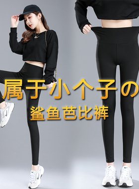 灰色鲨鱼裤女外穿小个子150胖mm春秋款瘦腿提臀紧身裤沙鱼裤女145