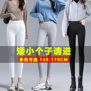 春秋松紧腰小黑裤 150cm外穿8分魔术裤 女小个子打底裤 紧身小脚秋裤