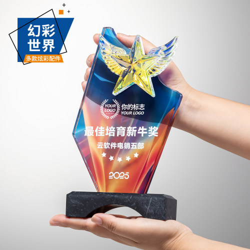 奖杯定制定做水晶优秀员工奖牌纪念品高档大气创意炫彩奖杯订制做