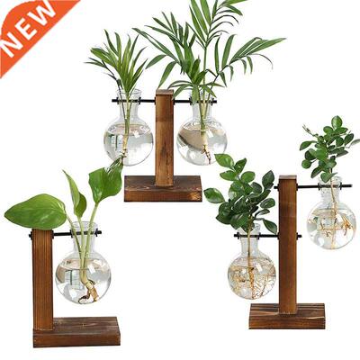 Transparent Vase Plant Wooden Frame Water Planting Flower Po