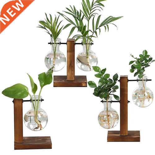 Transparent Vase Plant Wooden Frame Water Planting Flower Po