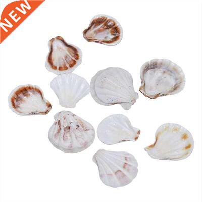 10PCS Mediterranean Style Beautiful Beach SeaShells Mix Sea