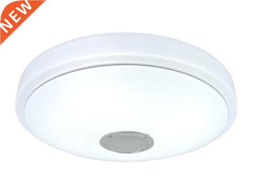 6W/60W Modern RGB LED Ceiling Light Dimmable bluetooth