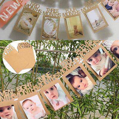 Cute Birthday 12 Months Bunting Garland Photo Banner Baby