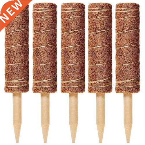5 Packs of 12-Inch Coconut Shell Totem Poles-Coconut Shell M