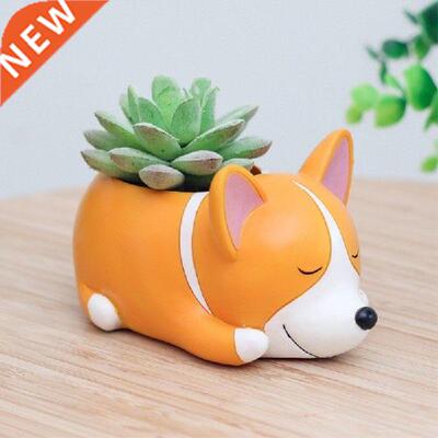 Cute niml Micro Lndscpe Flowerpots Fleshy Plnting