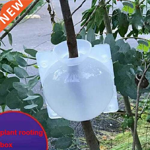 Plant Rooting Ball Case box Reusable Transparent High Pressu