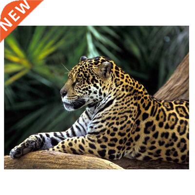 Diamond Painting Panthera Onca Rhinestone Full Circle
