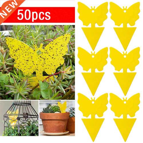 50pc Strong Yellow Sticky Traps Fruit Fly Bugs Sticky Board