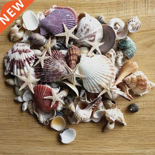100PCS Mixed Ocean Sea shells Wedding Decor Beach Theme Part