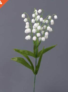 Beautiful pure white bell orchid plastic artificial flowers