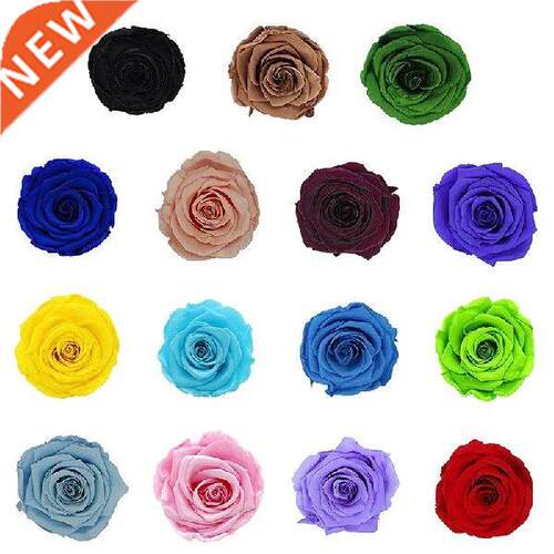 Preserved Flowers Rose Flower Immortal Rose Valentine's Day