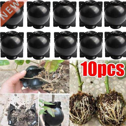 10Pcs Reusable Plant Root Growing Box Cutting Grafting Rooti
