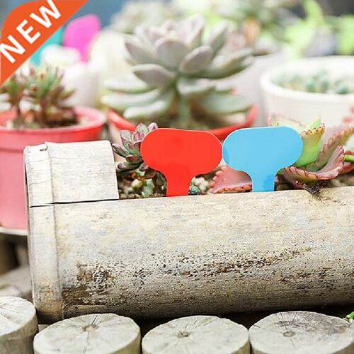 100Pcs 5*7cm plastic plant t-type tag markers nursery
