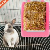 Rack Frame Hay Bowl Gra Rabbit Spring Grass