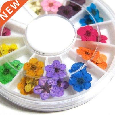 Manicure 12 Color D Real Dried Flowers UV Gel Acrylic Nail