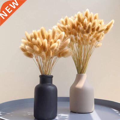0PCs Natural Dried Flowers Rabbit Tail Grass Ornaments Lagu