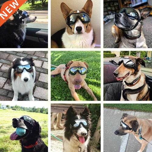 Adjustable Pet Dog Goggles Glasses Anti-uv Glasses Supplies