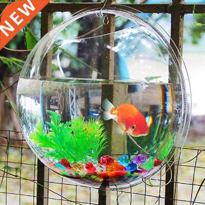 1pc Fish Tank Hanging Wall Mounted Acrylic Fish Tank