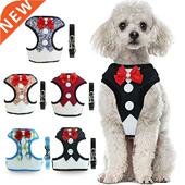 Leash and Set Nylon Small Dog Puppy Harness