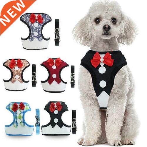Dog Harness and Leash Set Nylon Puppy Small Dog Harness