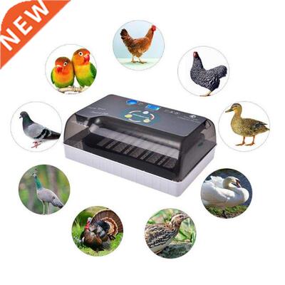 Dreamburgh Farm Hatchery Incubator Broo Machine 4-5 Egg