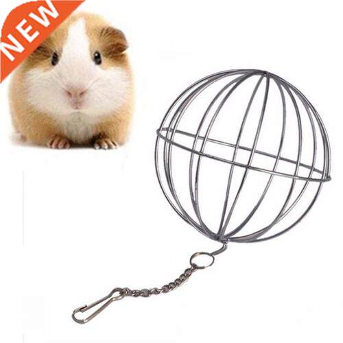 Pets Grass Feeding Ball Stainless Steel Electroplated Round