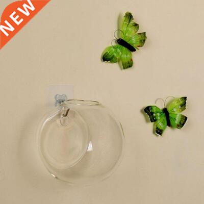 Glass Vase Wall Hanging Hydroponic Terrarium Fish Tanks Pott
