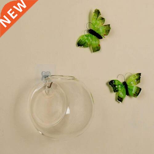 Glass Vase Wall Hanging Hydroponic Terrarium Fish Tanks Pott