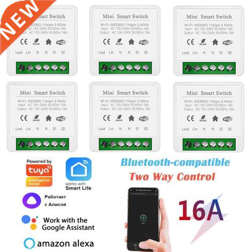 16A Mini Wifi DIY Smart Switch Two Way Control Smartlife APP