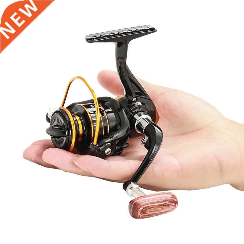 Mini carrete de pesca giratorio, bobina de Metal de 5KG, pot