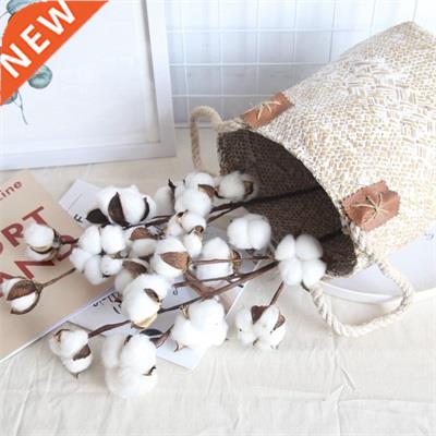 6 Pcs 10 Heads Dried Cotton Stems Home Decor Natural Dry