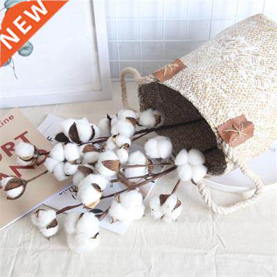 6 Pcs 10 Heads Dried Cotton Stems Home Decor Natural Dry