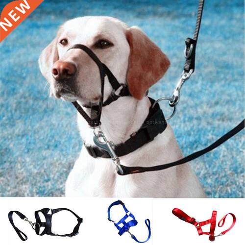Creative Dog Halter Halti Training Head Collar Gentle