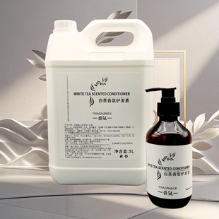 星级酒店宾馆民宿大卫多夫白茶香氛大桶洗发水护发素沐浴露补充装