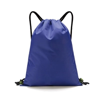 DB10 Basketball Back Blue (может быть установлен баскетбол)