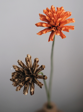 轻奢高端纤菊手工花真花