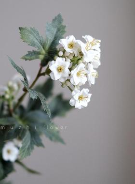高级感逼真小雏菊仿真花轻奢高端客厅摆设花艺插花假花装饰摆件