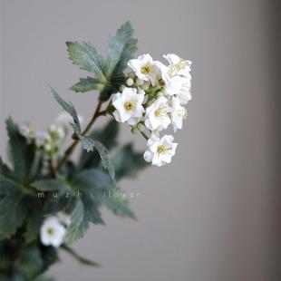 高级感逼真小雏菊仿真花轻奢高端客厅摆设花艺插花假花装 饰摆件