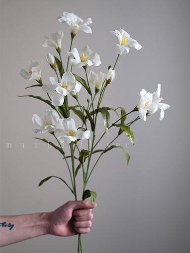 muzhi高颜值白色油桐花仿真花